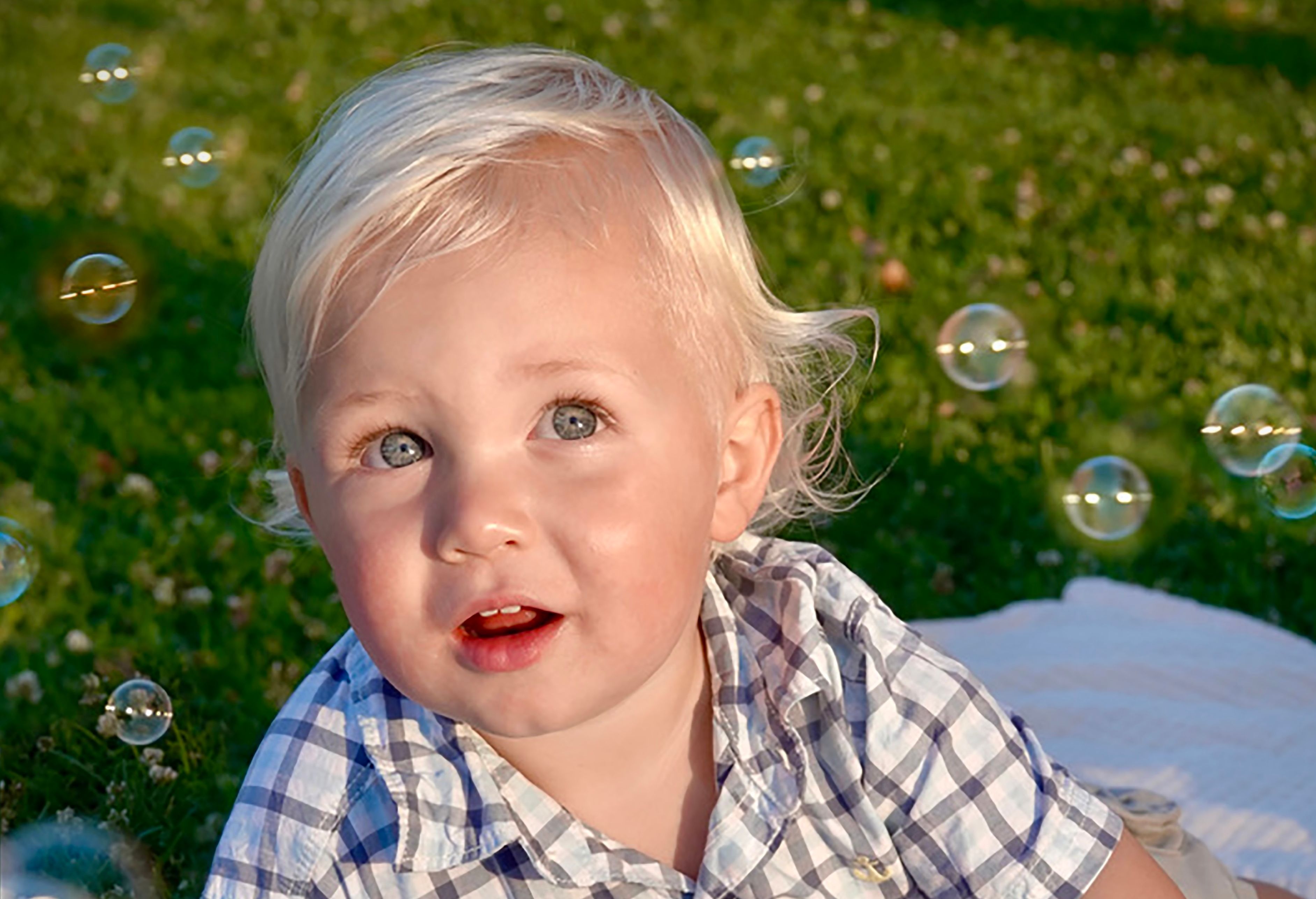 imagen de galeria de 5 elementos