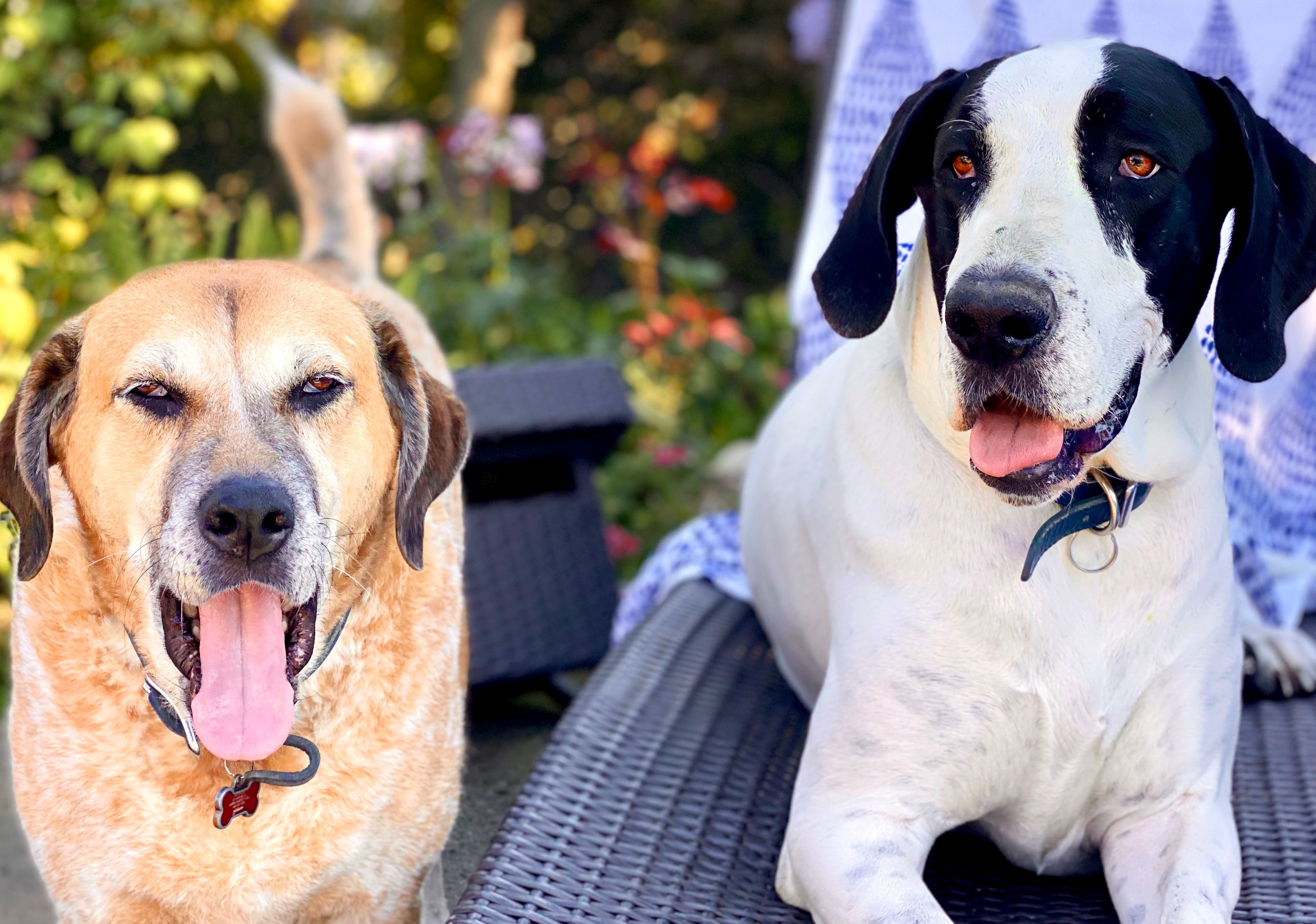 imagen de galeria de 5 elementos