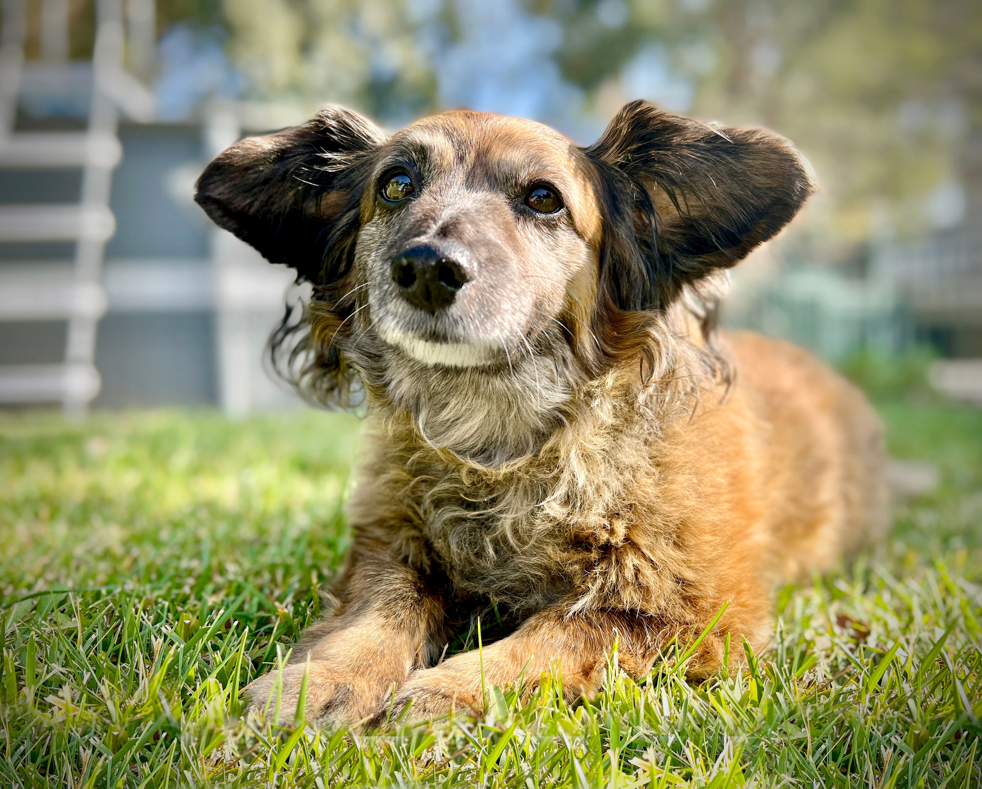 imagen de galeria de 5 elementos