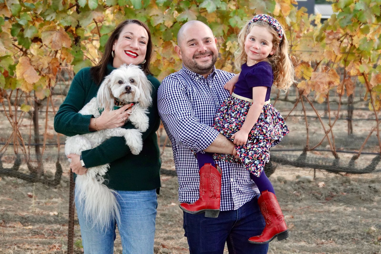 imagen de galeria de 5 elementos