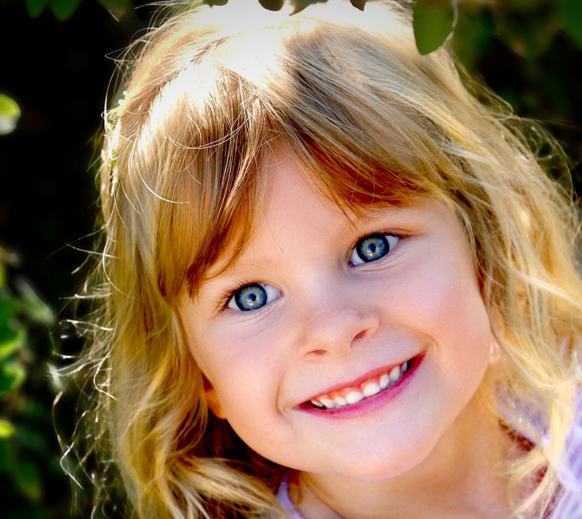 imagen de galeria de 5 elementos