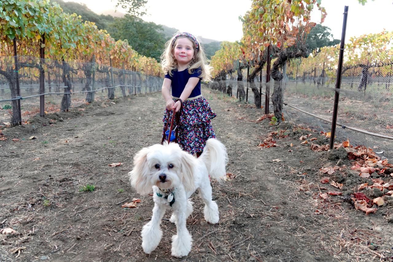 imagen de galeria de 5 elementos