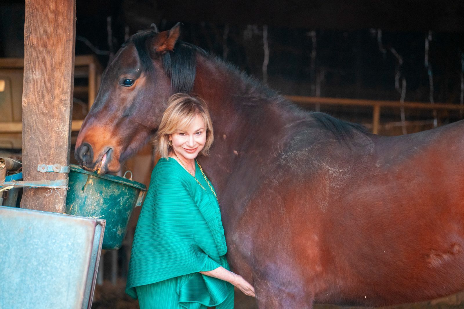 imagen de galeria de 5 elementos